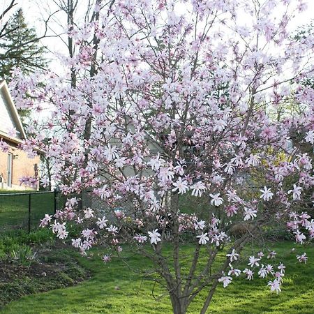 Carrousel Bed & Breakfast Cayuga Exterior foto